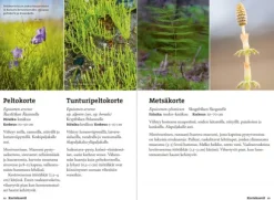 Calazo Vaeltajan tunturikasvio