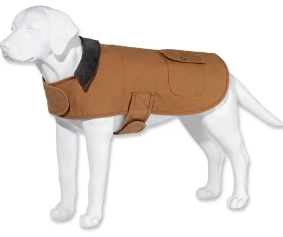 Carhartt Dog Chore -koiran takki, ruskea