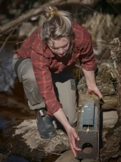 Chevalier Eagle naisten flanellipaita, Fox Red Checked