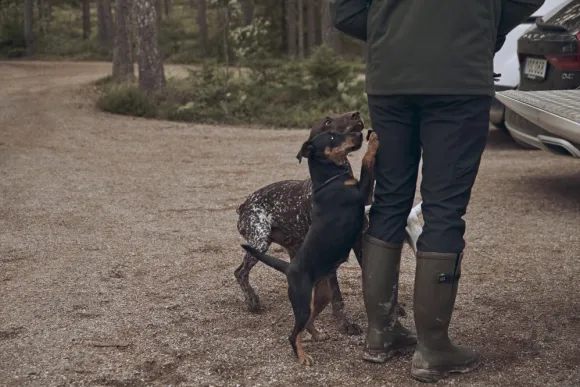 Chevalier River housut, musta