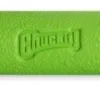 Chuckit! Max Glow Ultra Fetch Stick