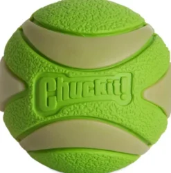 Chuckit! Max Glow Ultra Squeaker Ball M