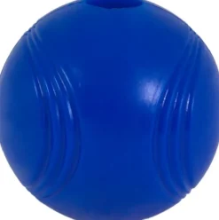 Chuckit! Super Crunch Ball M