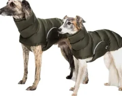 Cloud7 Alaska Dog Coat koiran takki, koot 6-10, Olive