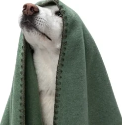 Cloud7 Blanket Fleece koiranpeitto, M, vihreä