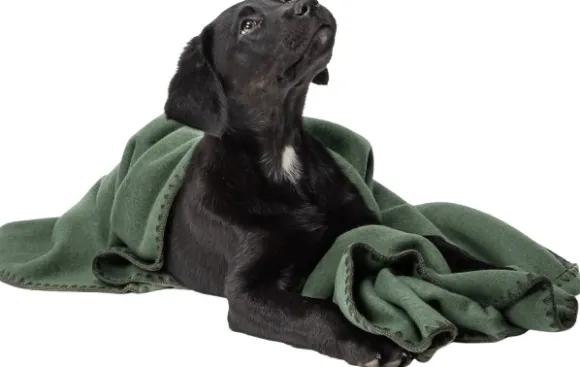 Cloud7 Blanket Fleece koiranpeitto, M, vihreä