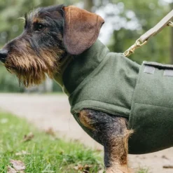 Cloud7 Brooklyn koiratakki, koot 3-5, Fern Green