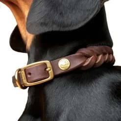 Cloud7 Collar Central Park nahkapanta, L-XXL, ruskea