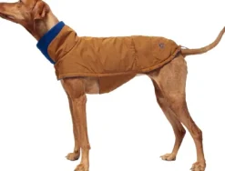 Cloud7 Dog Coat Brooklyn Waxed Cotton koiran talvitakki, koot 6-9, Curry