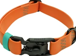 Cloud7 Dog Collar Ipanema kaulapanta, S-M, Orange