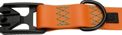 Cloud7 Dog Collar Ipanema kaulapanta, L, Orange