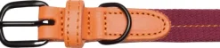 Cloud7 Dog Collar Madeira kaulapanta, L-XL, Papaya