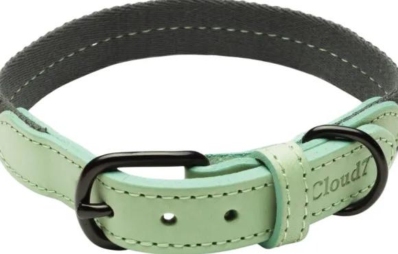 Cloud7 Dog Collar Madeira kaulapanta, L-XL, Mint