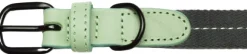 Cloud7 Dog Collar Madeira kaulapanta, L-XL, Mint