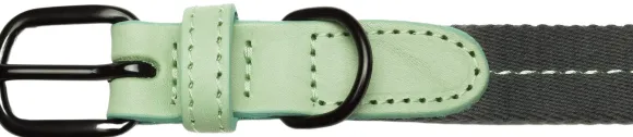 Cloud7 Dog Collar Madeira kaulapanta, L-XL, Mint