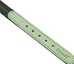 Cloud7 Dog Collar Madeira kaulapanta, L-XL, Mint