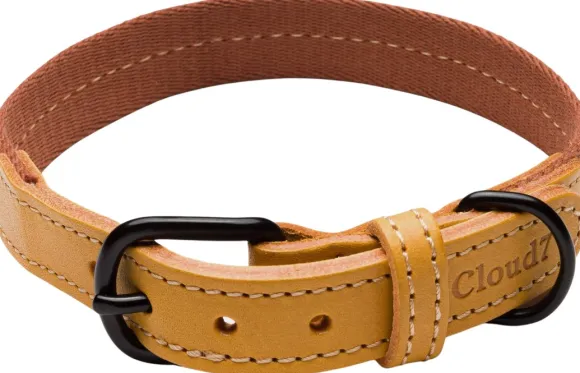 Cloud7 Dog Collar Madeira kaulapanta, L-XL, Ginger