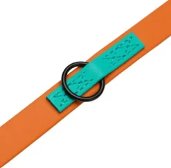 Cloud7 Dog Leash Ipanema talutushihna, L, Orange