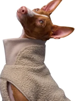 Cloud7 Dog Sweater Gotland koiran teddytakki, 4-7, beige