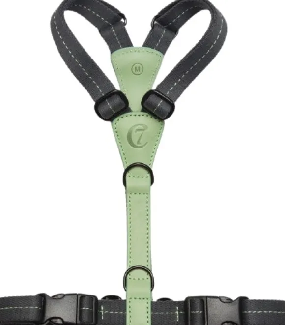 Cloud7 Harness Madeira valjaat, XS-S, Mint