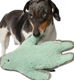 Cloud7 Monster Sam lelu