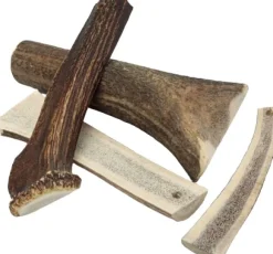 Cloud7 peuransarvi puruluu, M