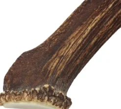 Cloud7 peuransarvi puruluu, S