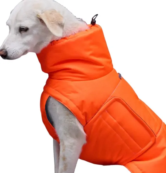 Cloud7 Yukon Dog Coat koiran takki, koot 4-5, Neon Orange