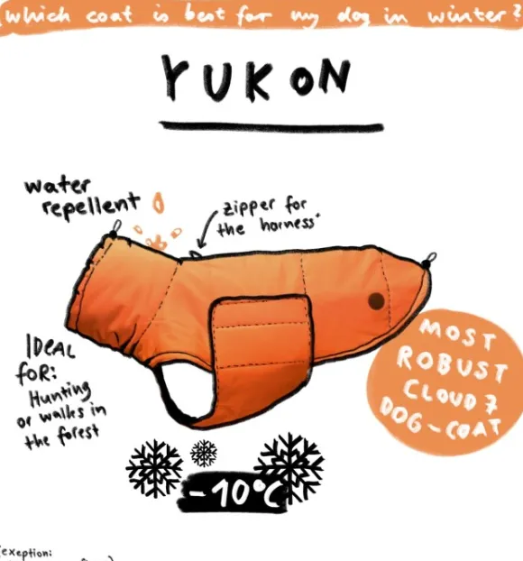 Cloud7 Yukon Dog Coat koiran takki, koot 6-10, Neon Orange