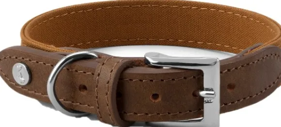 Denjo Dogs Signature kaulapanta, XL-XXL, Brown/Mustard