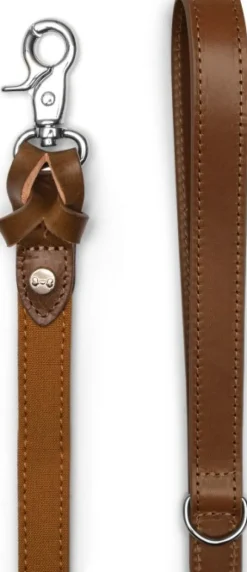 Denjo Dogs Signature talutin, S, Brown/Mustard