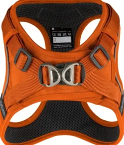 DOG Copenhagen Comfort Walk Go Harness koiran valjaat, S, Orange Sun