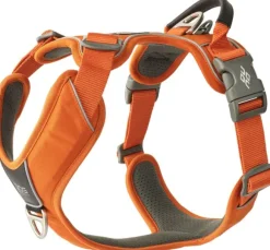 DOG Copenhagen Comfort Walk Pro Harness koiran valjaat, L-XL, Orange Sun