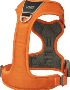 DOG Copenhagen Comfort Walk Pro Harness koiran valjaat, L-XL, Orange Sun