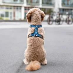 DOG Copenhagen Comfort Walk Air Harness koiran valjaat, S-M, Mocca