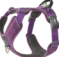DOG Copenhagen Comfort Walk Pro Harness koiran valjaat, S-M, Purple Passion
