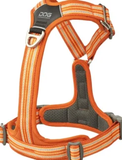 DOG Copenhagen Comfort Walk Air Harness koiran valjaat, L-XL, Orange Sun