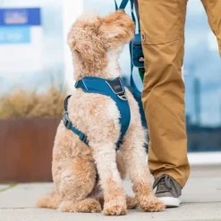 DOG Copenhagen Comfort Walk Pro Harness Desert Dune L