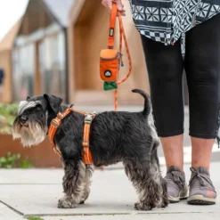 DOG Copenhagen Comfort Walk Air Harness koiran valjaat, XS, Black