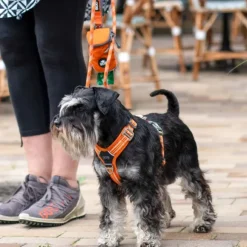 DOG Copenhagen Comfort Walk Air Harness koiran valjaat, XS, Orange Sun