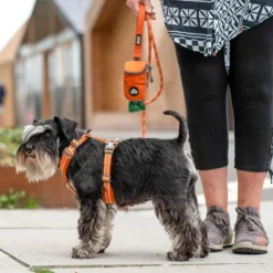 DOG Copenhagen Comfort Walk Air Harness Lemon XS