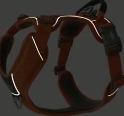 DOG Copenhagen Comfort Walk Pro Harness Lemon M