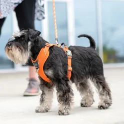 DOG Copenhagen Comfort Walk Pro Harness koiran valjaat, XS, Mocca