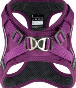 DOG Copenhagen Comfort Walk Go Harness koiran valjaat, XXS-XS, Purple Passion