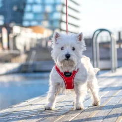 DOG Copenhagen Comfort Walk Go Harness Desert Dune S