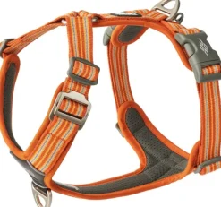 DOG Copenhagen Comfort Walk Air Harness koiran valjaat, S-M, Orange Sun