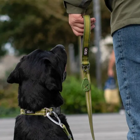 DOG Copenhagen Flexy Poop Bag Holder koirankakkapussin pidike, Black