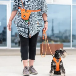 DOG Copenhagen Go Explore Treat Bag makupalapussi, Orange Sun