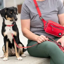 DOG Copenhagen Go Explore Belt Bag Desert Dune