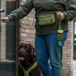 DOG Copenhagen Go Explore Belt Bag vyölaukku, Orange Sun